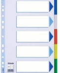 Przekadki plastikowe kolorowe Esselte, A4 - 5 kart