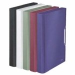 Teczka z przegr�dkami Leitz Style, satynowa czer�